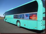 tfyl-302.jpg