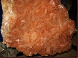 ct9-tg-48.jpg